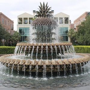 Meet your Posher, Louisa